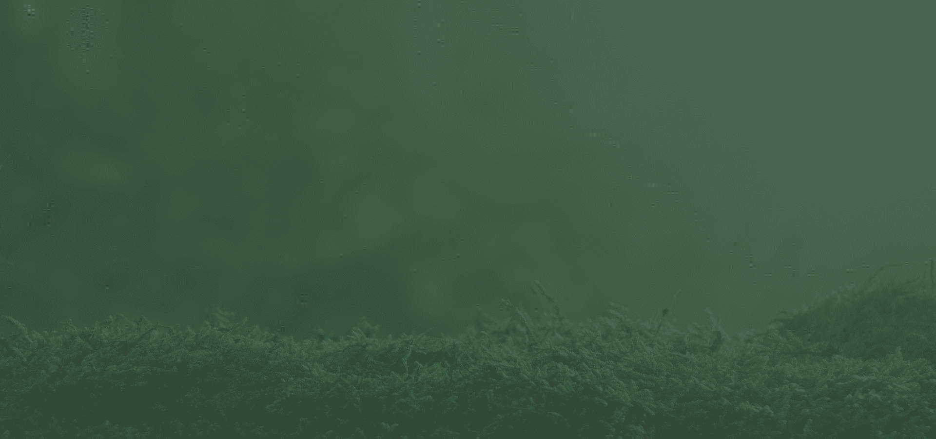 Untitled (1920 x 700 px) (1920 x 900 px)